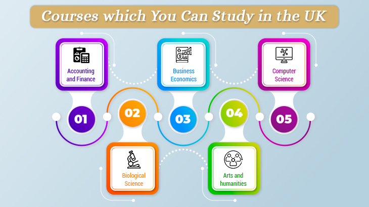 Courses which You Can Study in the UK